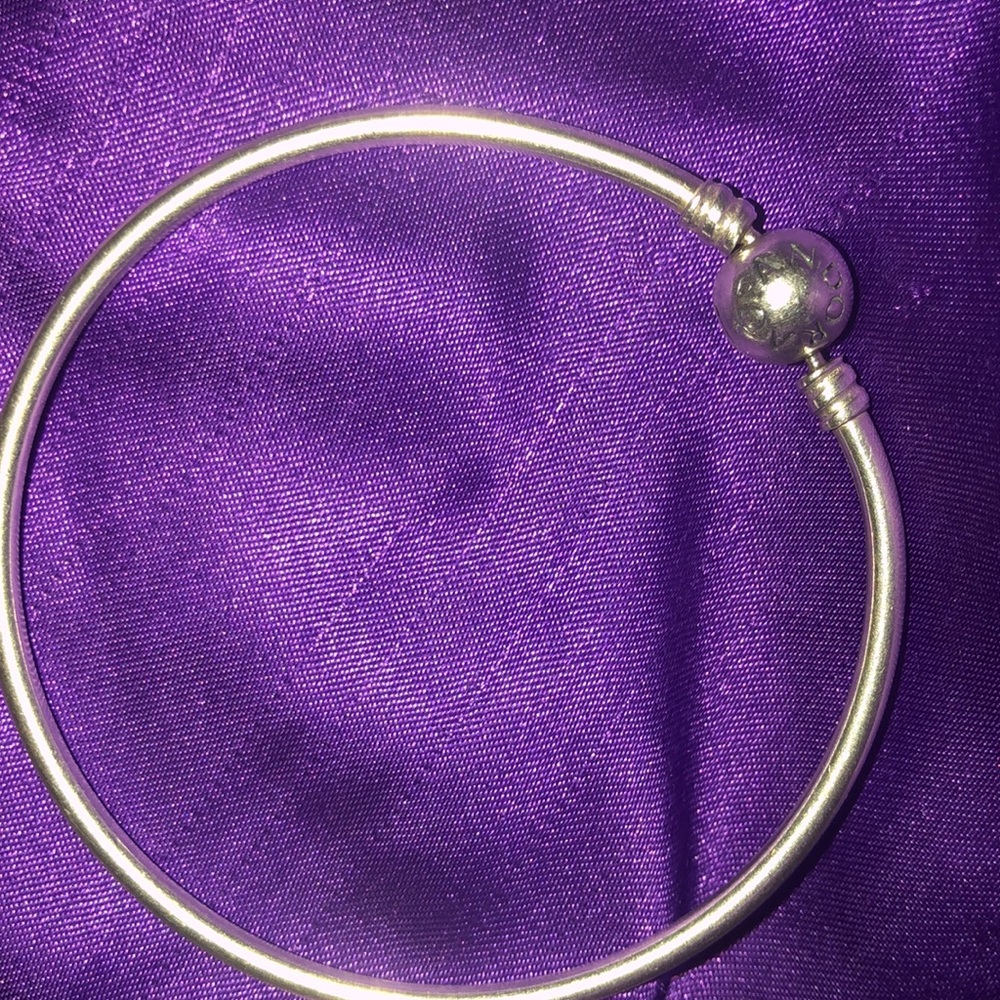 Pandora Bracelet